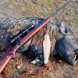 Nick's .300WSM and sizeable boar that did not complain about its performance.